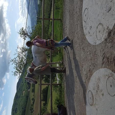 Agriturismo Corte Del Gallo Rivergaro Kültér fotó