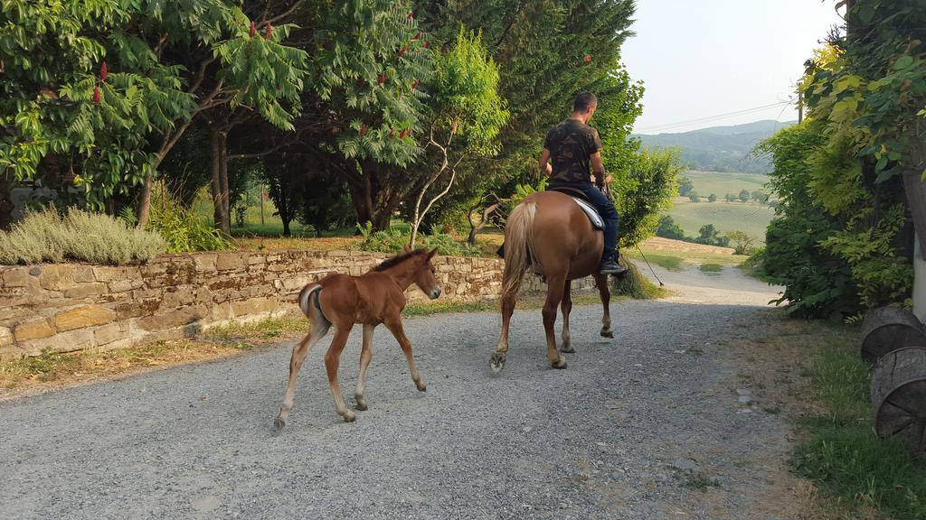 Agriturismo Corte Del Gallo Rivergaro Kültér fotó