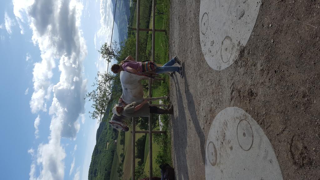 Agriturismo Corte Del Gallo Rivergaro Kültér fotó